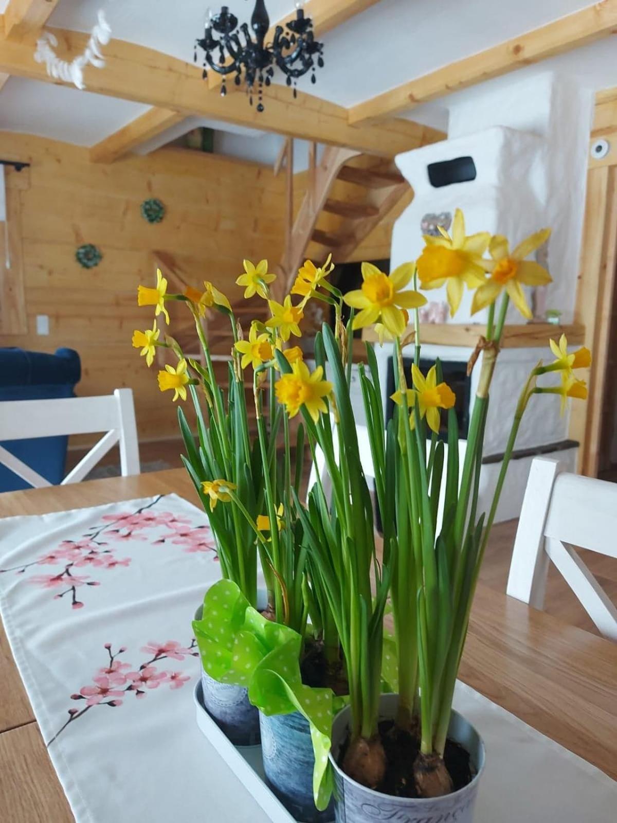 Apartment Dom Na Wichrowym Wzgorzu *